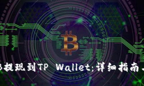 如何将BNB提现到TP Wallet：详细指南与操作步骤