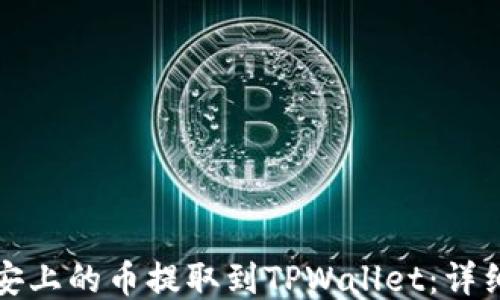 如何将币安上的币提取到TPWallet:详细步骤指南