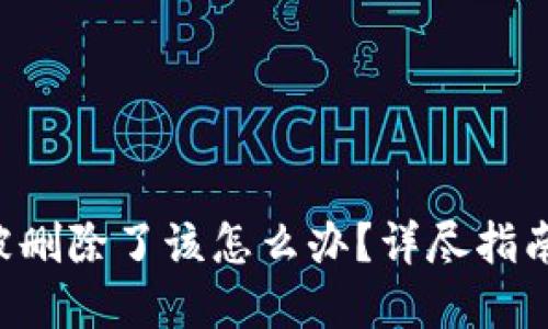  TPWallet被删除了该怎么办？详尽指南与解决方案