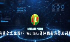 如何将资金充值到TP Wallet：详细指南与常见问题