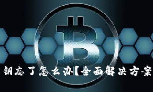 tpwallet私钥忘了怎么办？全面解决方案与预防措施