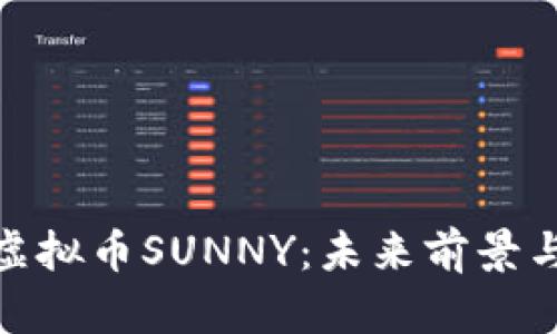 全面解析虚拟币SUNNY：未来前景与投资机会