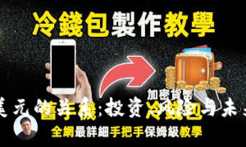虚拟币与美元的关系：投资、风险与未来趋势分析