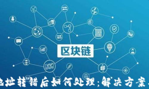 
TPWallet地址转错后如何处理：解决方案与预防措施