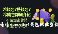 如何通过tpwallet钱包地址查询资产