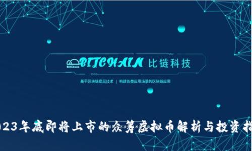 2023年底即将上市的众筹虚拟币解析与投资指南