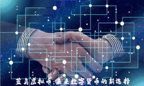 
蓝鸟虚拟币：未来数字货币的新选择