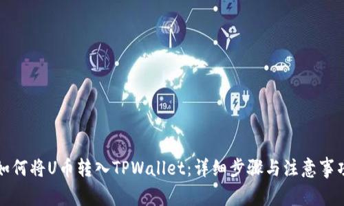 如何将U币转入TPWallet：详细步骤与注意事项