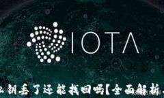 tpwallet私钥丢了还能找回吗？全面解析与解决方案