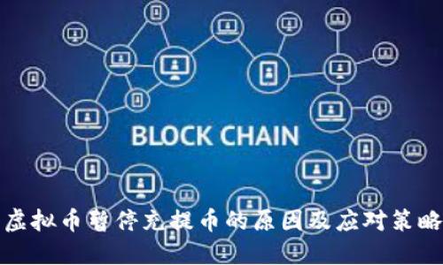 虚拟币暂停充提币的原因及应对策略