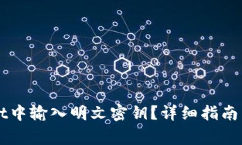 如何在TPWallet中输入明文密钥？详细指南与常见问题解析