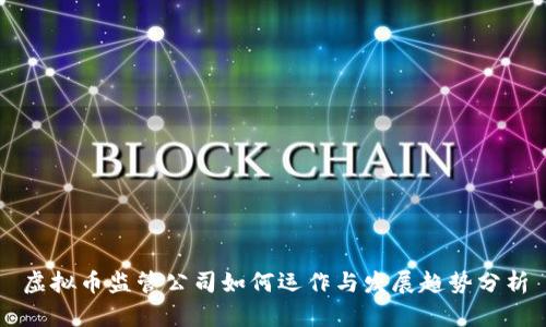 虚拟币监管公司如何运作与发展趋势分析