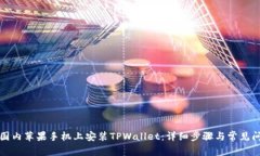 如何在国内苹果手机上安装TPWallet：详细步骤与常