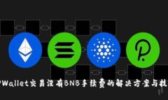 TPWallet交易没有BNB手续费的解决方案与技巧