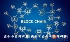 虚拟币豪赌视频：揭秘背后的风险与回报