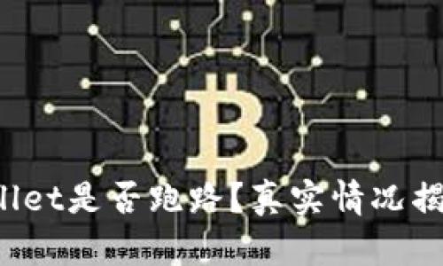 2023年TPWallet是否跑路？真实情况揭秘与风险防范