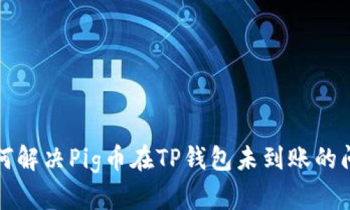 如何解决Pig币在TP钱包未到账的问题