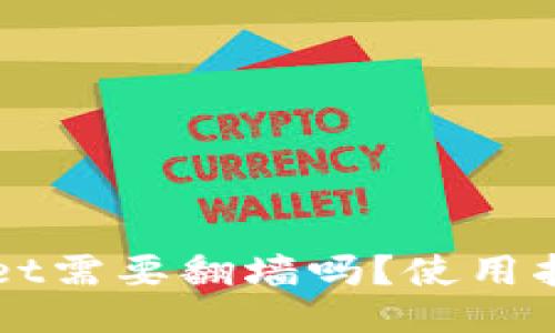 玩TPWallet需要翻墙吗？使用指南与技巧