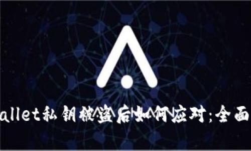 tpwallet私钥被盗后如何应对:全面指南